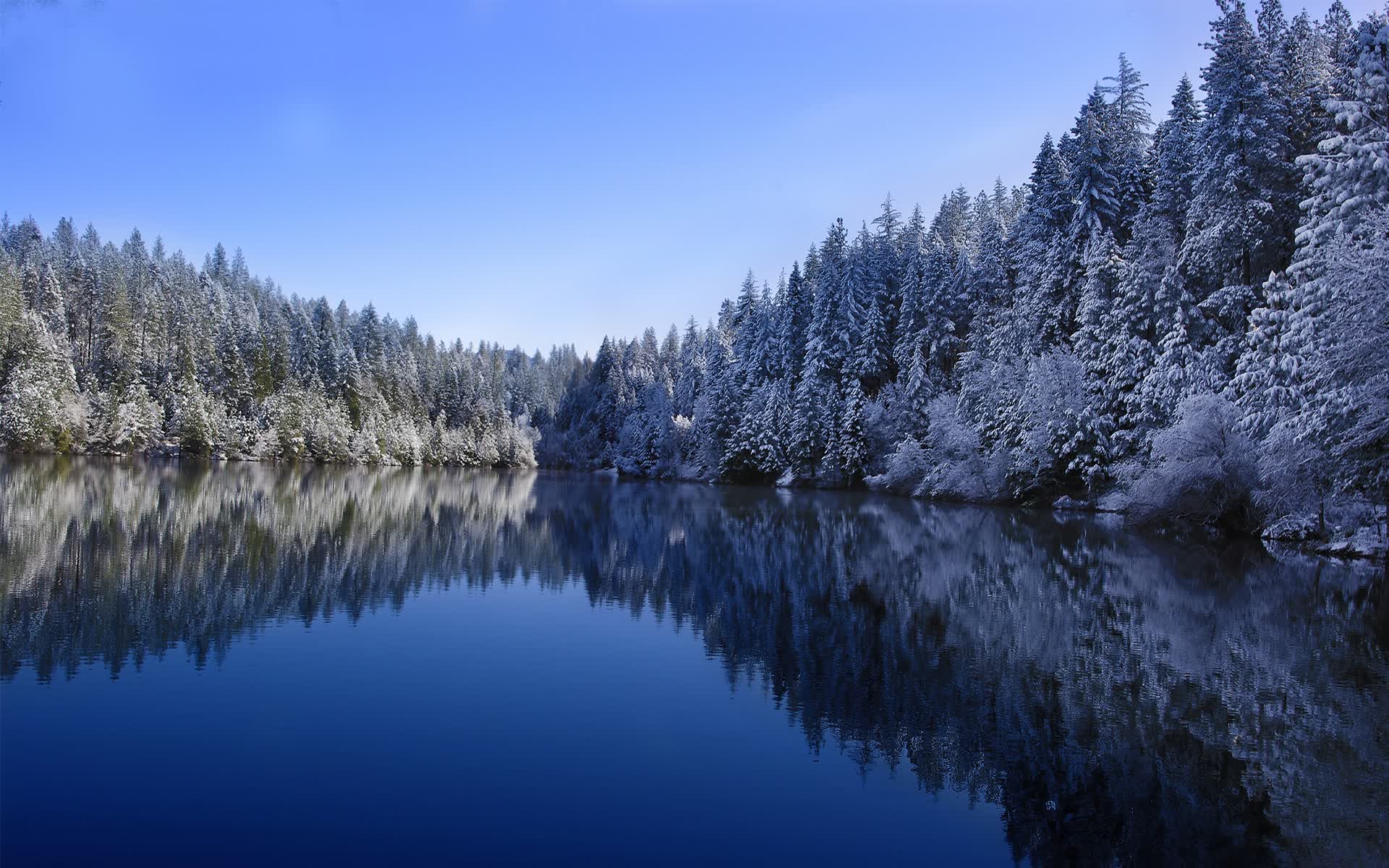 世界滑雪公益基金：助力偏远地区青少年参与，国际滑雪联合会成立